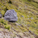 Image for article titled This Fake Boulder In the Alps Is Actually a Tiny, Perfect Cabin